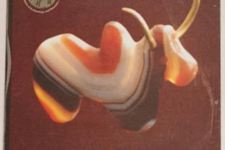 Harappan bull banded agate with gold horns